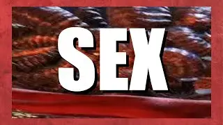 Mohg Sex😳