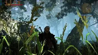 The Witcher 2  Assassins of Kings (Без запредельного)