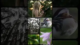 15 junio, Día de la Fotografía de Naturaleza