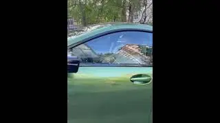Жалко Литвина🥺. Как думаете кто виновен?