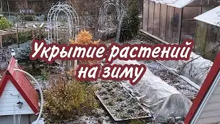 КАРКАСНЫЕ УКРЫТИЯ, ЧТО И ГДЕ МЫ СДЕЛАЛИ | УКРЫТИЕ РАСТЕНИЙ НА ЗИМУ | САД ДЛЯ ДУШИ 2021