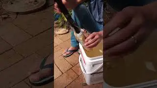 Archimedes screw really working #ancient #ancienttechnology #water #waterpump