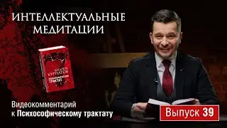 Интеллектуальные медитации. Видеокомментарий к Психософическому трактату: выпуск 39