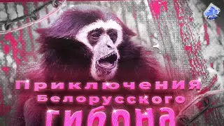 Gears 5 Два гиБона с одним мозгом