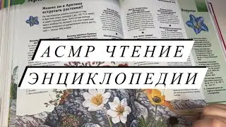 АСМР | Чтение энциклопедии | Близкий шепот