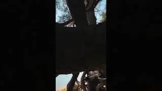 jordi kaolitic videography mobile