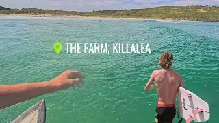 SURFING THE FARM November 2024
