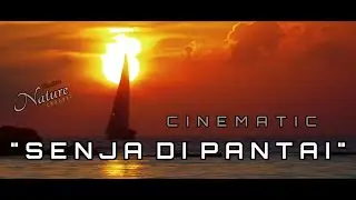 CINEMATIC VIDEO 