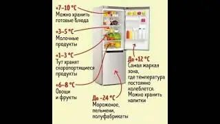 Где что хранить в холодильнике