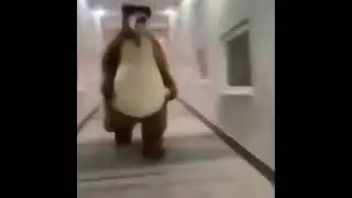 мишка мишка где штанишки