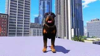 GTA 5: Dog Gameplay - Falling Off The Highest Buildings - Funny and Epic Moments