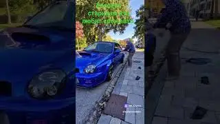 Всегда ухаживать нужно за своими авто .