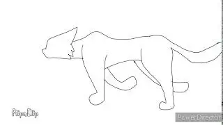 Cat walking sequence practice