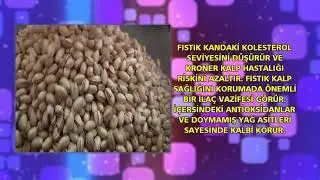 Fıstığın Faydaları
