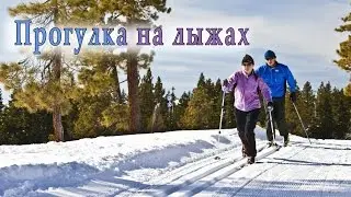 Лыжная прогулка на природе Северного края