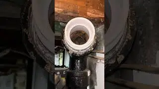 Pedicure Chairs🦶 A/c service, The first Law and Mores
