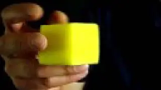 Morph Dog ellow Yuris Lesnik Morphs