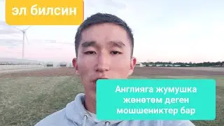 Англияга жумушка жөнөтөм деген мошеникттер #англия #жумуш #ош #бишкек