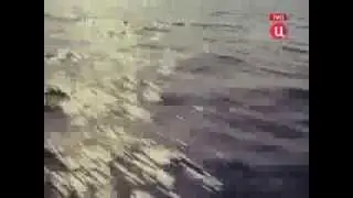 Летние гастроли (1979)