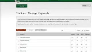 Keyword SERP Tracking & Management