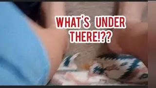 What Was Under My Bed!??  Scared me out of my soul!