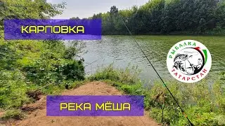 Карповка, река Мёша, Республика Татарстан (Karpovka, Mesha River, Republic of Tatarstan)