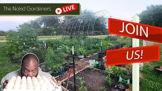 🔴 The Nakid Truth About June 2023 So Far!