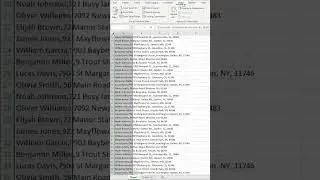 Split Text into Columns in Excel in Seconds: A Step-by-Step Guide 