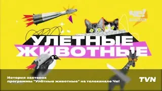 История заставок программы "Улётные животные" на телеканале Че!