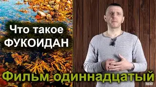 #Водоросли