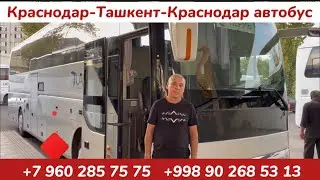 Ташкент Краснодар,краснодар-ташкент автобус,ростов-ташкент автобус,Волгоград-Ташкент автобус