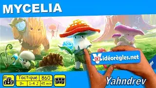 Vidéorègle Jeu de Société 