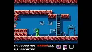 Beating Teenage Mutant Ninja Turtles on the NES for my first time