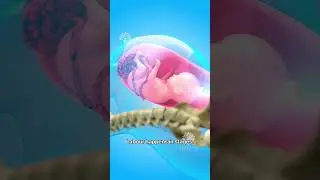 What Really Happens During Normal Delivery 😱 