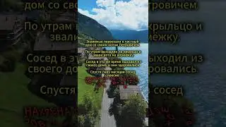 💥Знакомые переехали в частный дом со своим котом Петровичем! #анекдоты #анекдот #чёрныйюмор