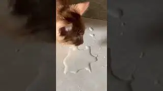 Сосулька