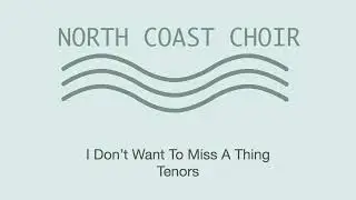 I Don't Want To Miss A Thing TENORS