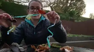 Leaf Threading Activity
