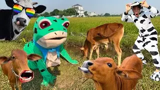 Con bò - Con bò con - Nhạc con bò - Con bò ăn cỏ - Bài hát con bò - Nhạc parody con bò @longbop