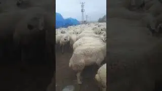 9 Ocak 2021