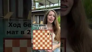 Мат в 2 хода 