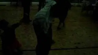 Bouzouki