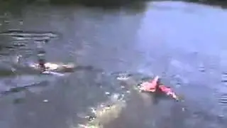 прикол  супермэн спасатель