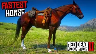 Proper Way To Get The Best & Fastest Blood Bay Thoroughbred Horse - RDR 2