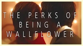 Beautiful scenes of The Perks of Being a Wallflower