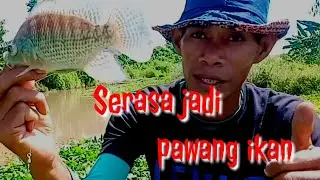 Cara membuat ikan cepat berkumpul dan betah di tempat kita mancing