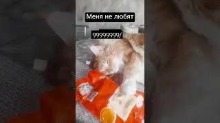 меня ненавидят