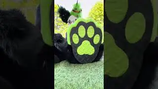Feet paws review!!
