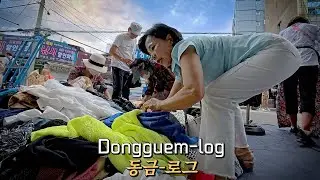 [동금로그] 써글 동묘는 전쟁터다잉