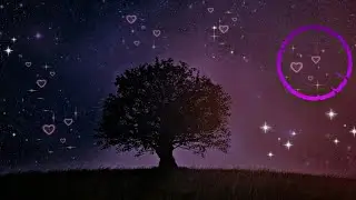 Culture code - you (feat. Alexis Don)[FM.release]💜